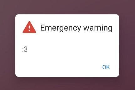 Phone notification:
"Emergency warning
:3"