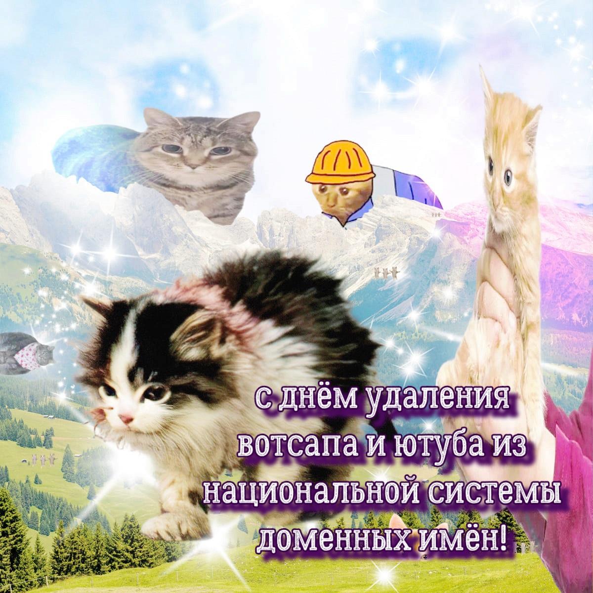 с днём удаления вотсапа и ютуба из национальной системы доменных имён!