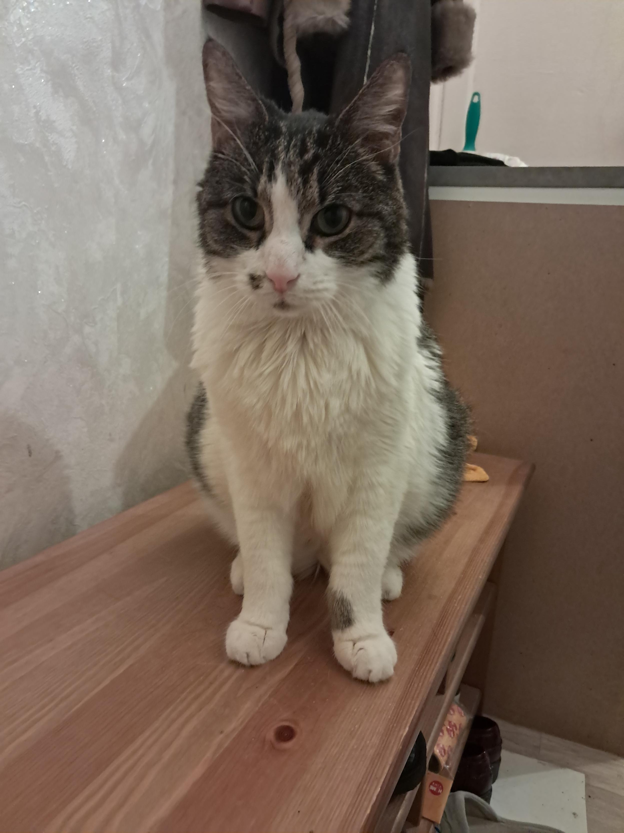 I was the last one to leave the territory so he made an extra check on me before letting me go home