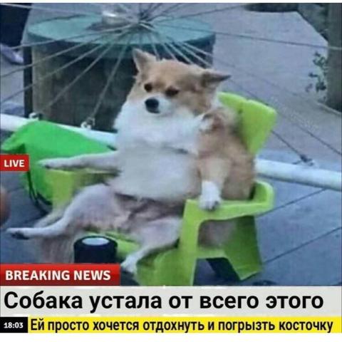 Posted media