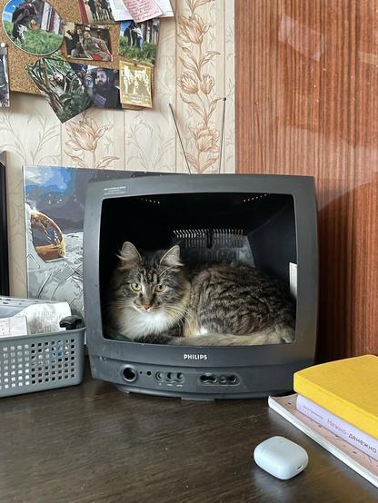 Posted media